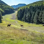 Mountain House Vinko شاليه