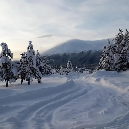 Mountain House Vinko Chalet *