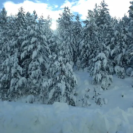 Mountain House Vinko Alpesi faház *