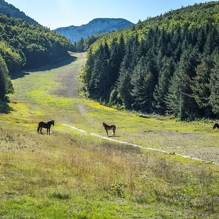 Mountain House Vinko Chalet